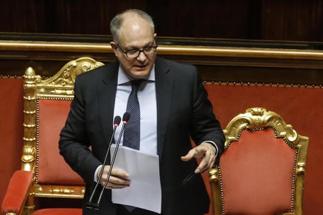 The Italian Minister of Economy, Roberto Gualtieri, delivers his speech in the Senate Hall during the debate on the budget deviation, Rome, Italy, 29 July 2020.   ANSA/FABIO FRUSTACI