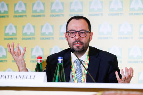 Il ministro dello Sviluppo Economico Stefano Patuanelli durante l'assemblea dei presidenti Coldiretti, Roma, 21 Luglio 2020. ANSA/GIUSEPPE LAMI
