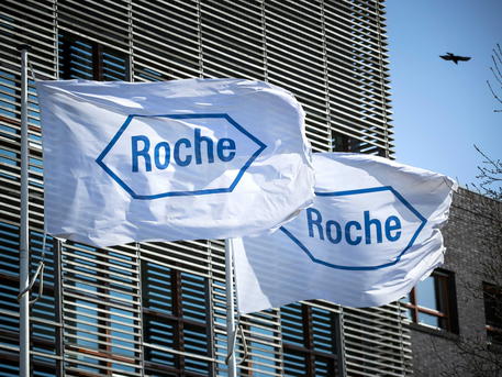epa08326504 Flags bearing the name of Roche company flutter outside a branch in Woerden, The Netherlands, 27 March 2020. The Swiss pharmaceutical company with branches in the Netherlands also supplies equipment, materials and liquids to hospital laboratories for carrying out corona tests.  EPA/REMKO DE WAAL