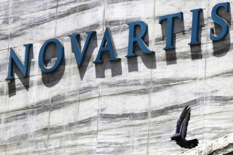 FILE - In this April 1, 2013 file photo, a dove flies near the logo of Novartis India Limited at their head office in Mumbai, India. Colombias government announced on Tuesday, May 17, 2106, that it is giving pharmaceutical giant Novartis a few weeks to lower prices on a popular cancer drug or see its monopoly on production of the medicine broken and competition thrown open to generic rivals. (ANSA/AP Photo/Rafiq Maqbool, File)