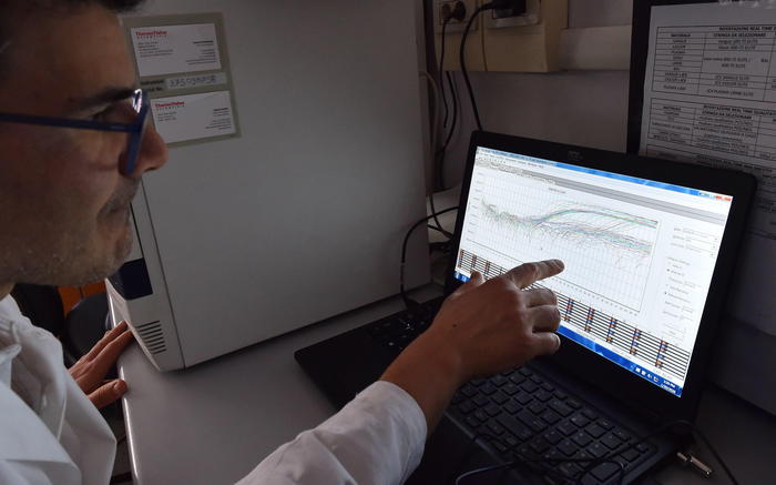 epa08179755 A laboratory assistant looks at a computer screen showing a test for the Coronavirus at the Amedeo di Savoia hospital in Turin, Italy, 30 January 2020. The coronavirus, called 2019-nCoV, originating from Wuhan, China, has spread to all the 31 provinces of China as well as more than a dozen countries in the world.  EPA/ALESSANDRO DI MARCO