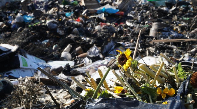 Inchiesta a Pordenone, la Gdf scopre traffico di rifiuti e frode fiscale da 300 mln