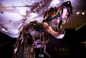Christie’s: battuto all’asta lo scheletro T-Rex da 31,8 milioni di dollari