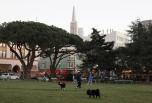 Covid, USA: San Francisco in lockdown da domenica