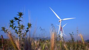 Rinnovabili, raggiunta intesa Ue: permessi più veloci e target al 42,5%