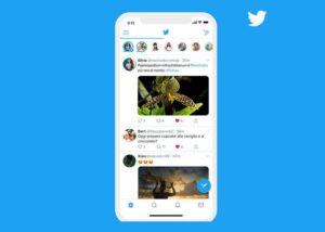 Twitter dichiara il fallimento dei Fleets