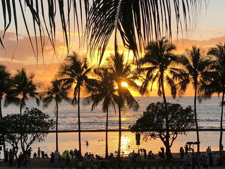 Viaggio alle Hawaii gratis. Il patto? Non fare i turisti