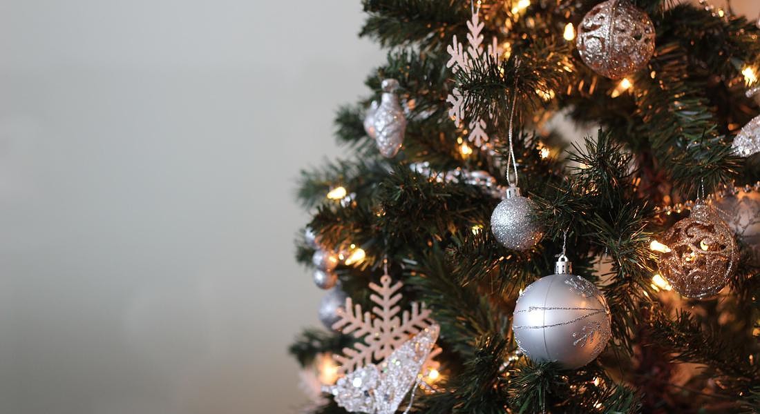 Italiani e albero di Natale: tre milioni di famiglie scelgono quello vero