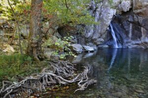 Liguria, autorizzata caccia titanio sul Beigua. Legambiente: “rischio salute”