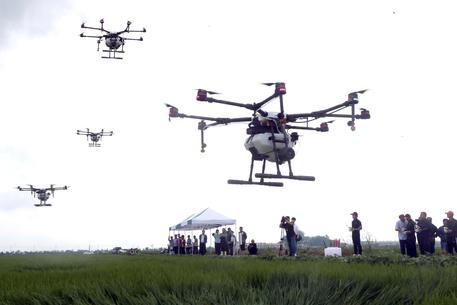 epa07747033 A demonstration of crop-spraying drones takes place at a rice paddy in the southeastern port city of Busan, South Korea, 29 July 2019.  EPA/YONHAP SOUTH KOREA OUT