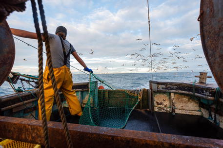 Post-Brexit, arriva l’accordo definitivo sulla pesca per il 2021-22