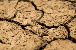 Italia, siccità sempre più preoccupante
