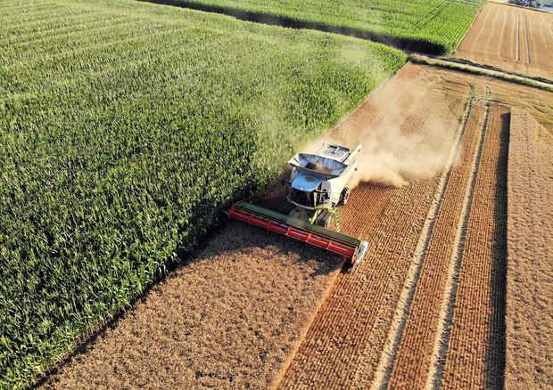 Agricoltura, il motore della sostenibilità
