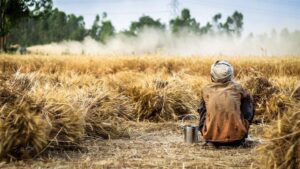 L’India blocca le esportazioni del grano