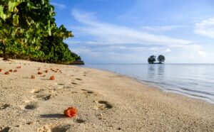 Alle Seychelles il turismo è in ripresa