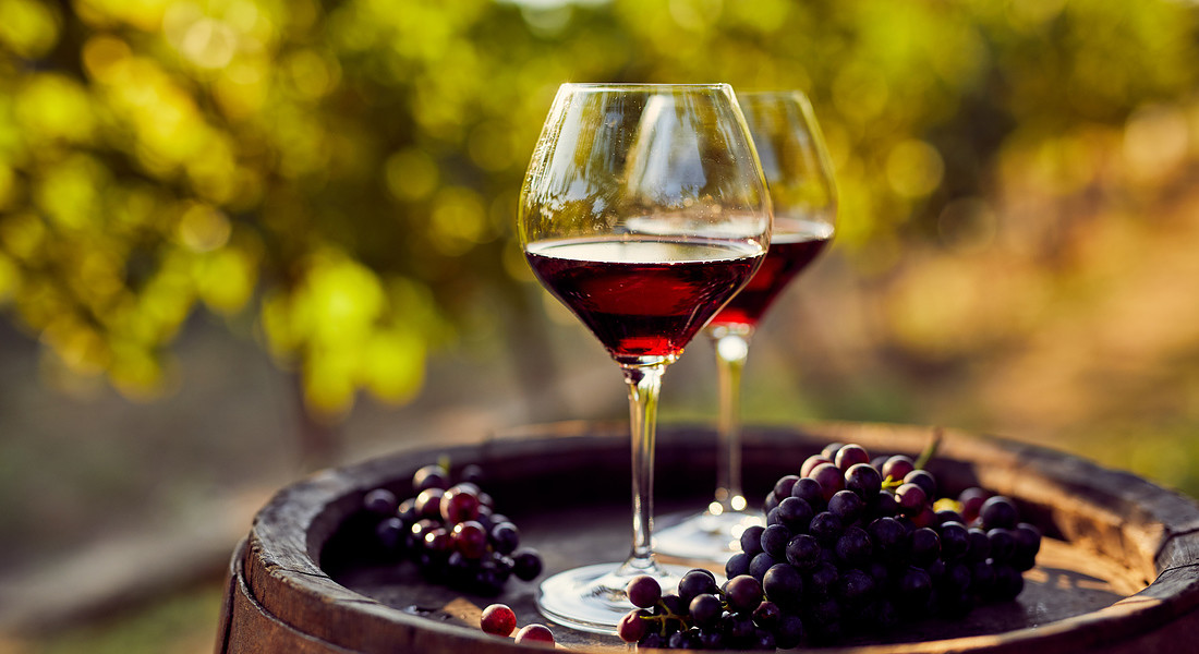Il consumo di vino bio è cresciuto del 60% in tre anni