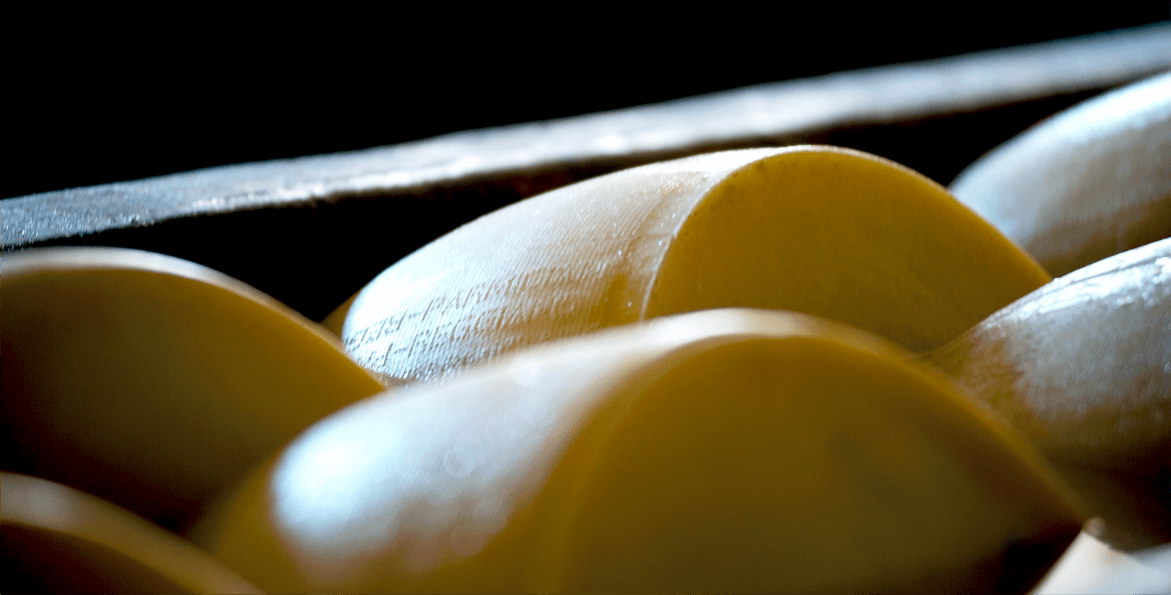 Export in aumento per i formaggi italiani