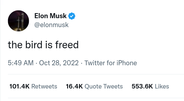 “The bird is freed”: Twitter è di Musk. Tutte le tappe