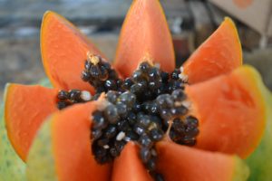 Papaya in crisi, mercato troppo piccolo