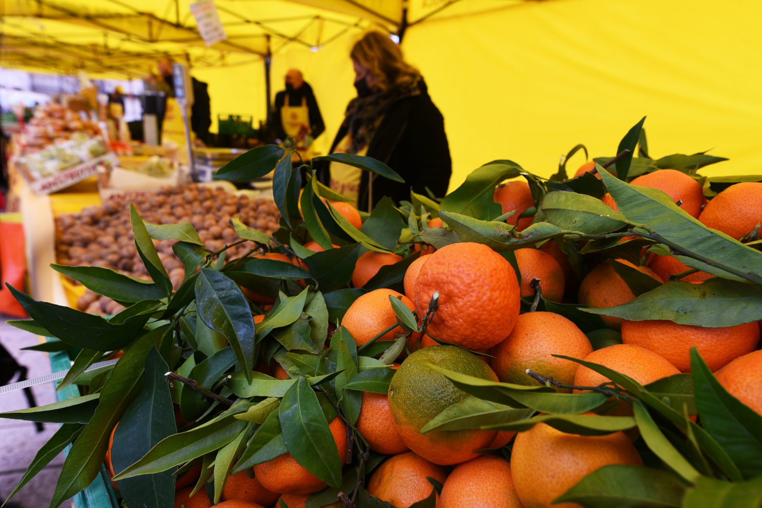 Coldiretti: l’agroalimentare italiano offre lavoro a 4 milioni di persone