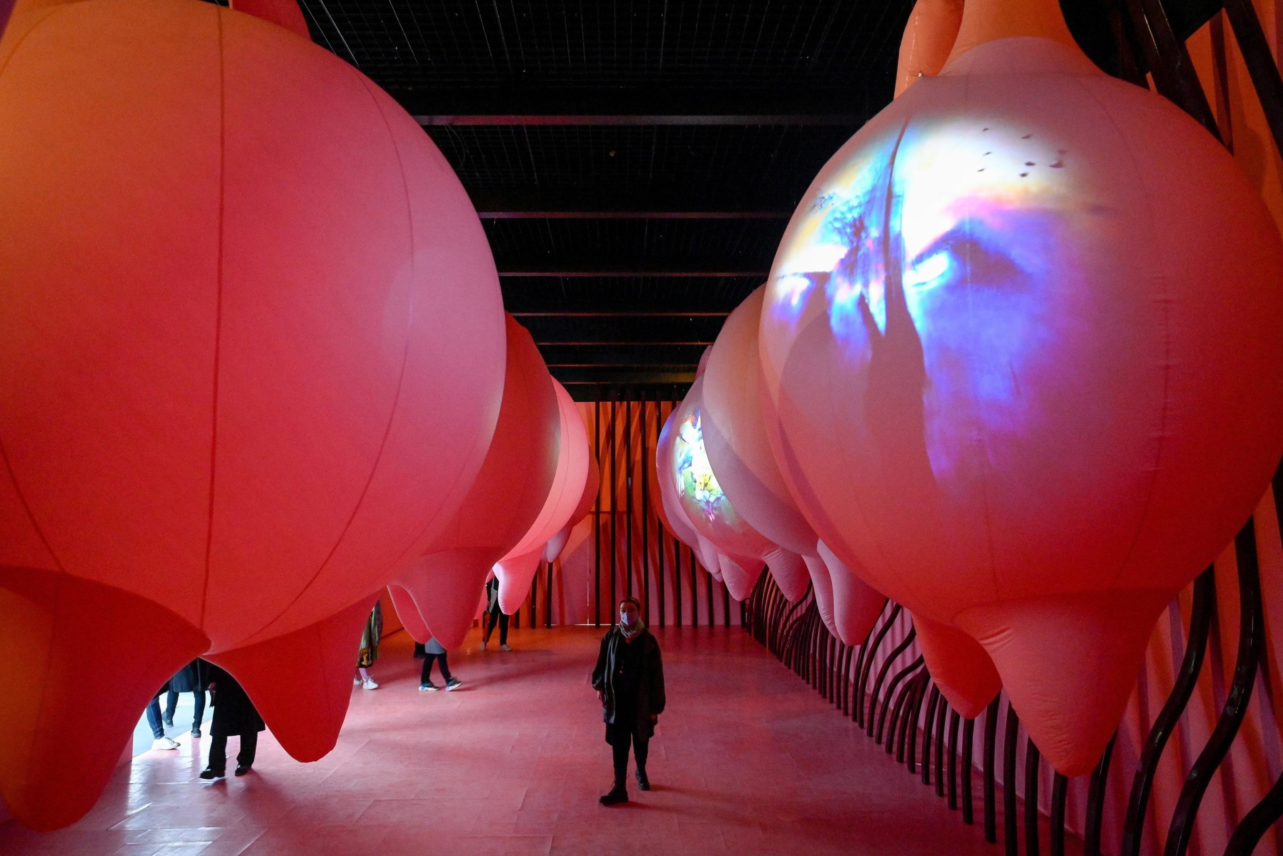 Biennale di Venezia, superato ogni record