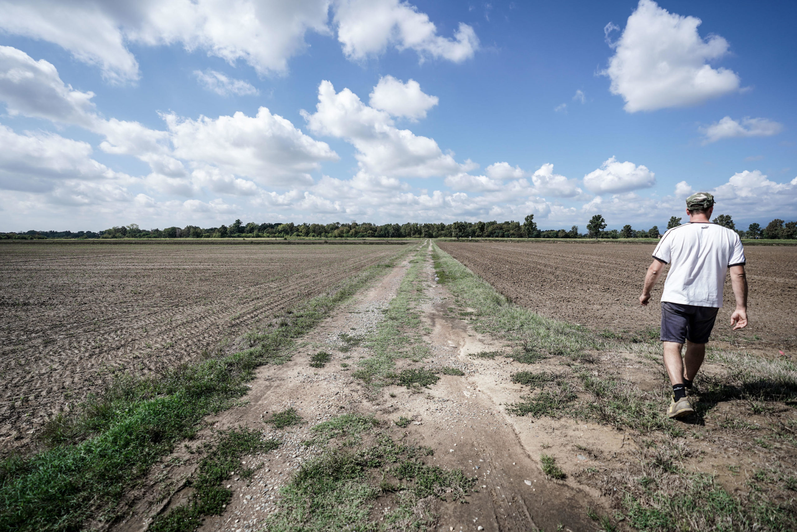 Siccità, Lollobrigida firma decreto per aiuti ad imprese agricole