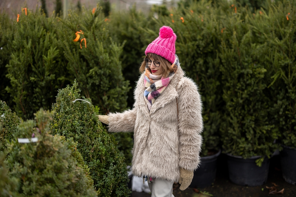 Belli, veri ed… ecologici: ecco gli alberi di Natale a noleggio