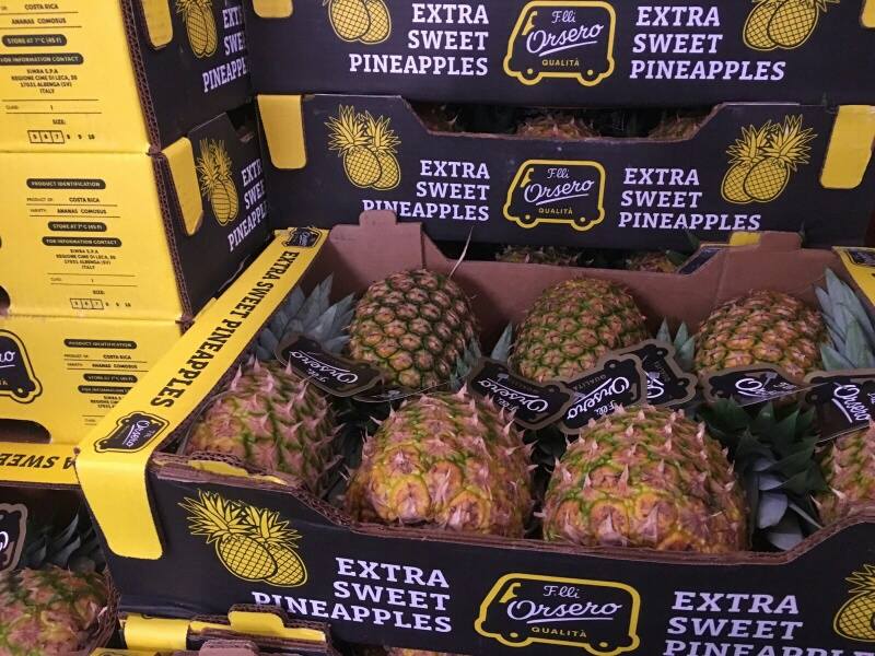 FRATELLI ORSERO
AZIENDA ALIMENTARE
CASSETTA CASSETTE FRUTTA
ANANAS