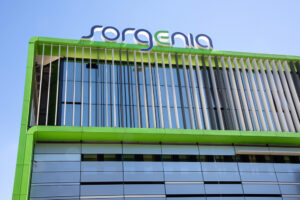 Sorgenia, ricavi a 6,1 mld e De Censi nuovo ad