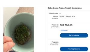 Quanto costa una zolla dello stadio del Napoli campione