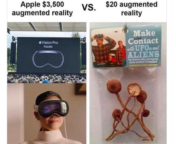 Musk vs Apple vision: “Con 20 dollari compro funghi allucinogeni”