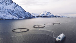 Terre rare, Norvegia vuole aprire i suoi fondali