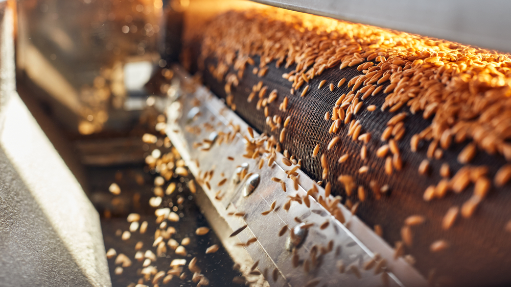 Cereali, import stabile nella quantità. +15,6% nel valore nel primo trimestre su anno