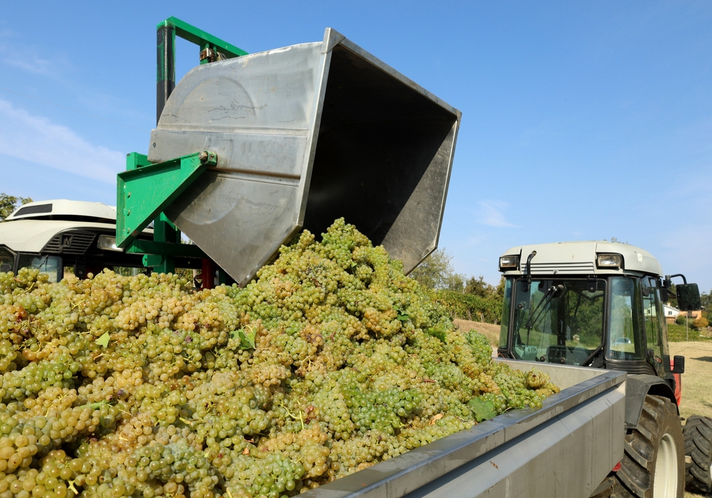 Enovitis in campo, torna la filiera dedicata alle macchine per viticoltura. 172 gli espositori