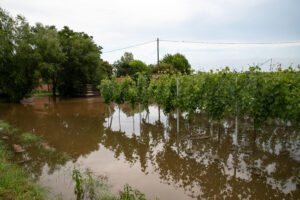 Alluvione in Emilia Romagna non ha impattato sul Pil