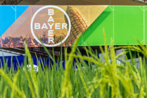 Bayer abbassa l’outlook di due miliardi per il glifosato