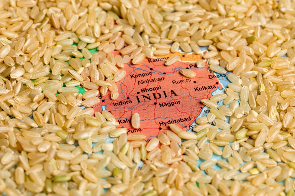 L’India vieta l’export di riso per garantire la sicurezza interna