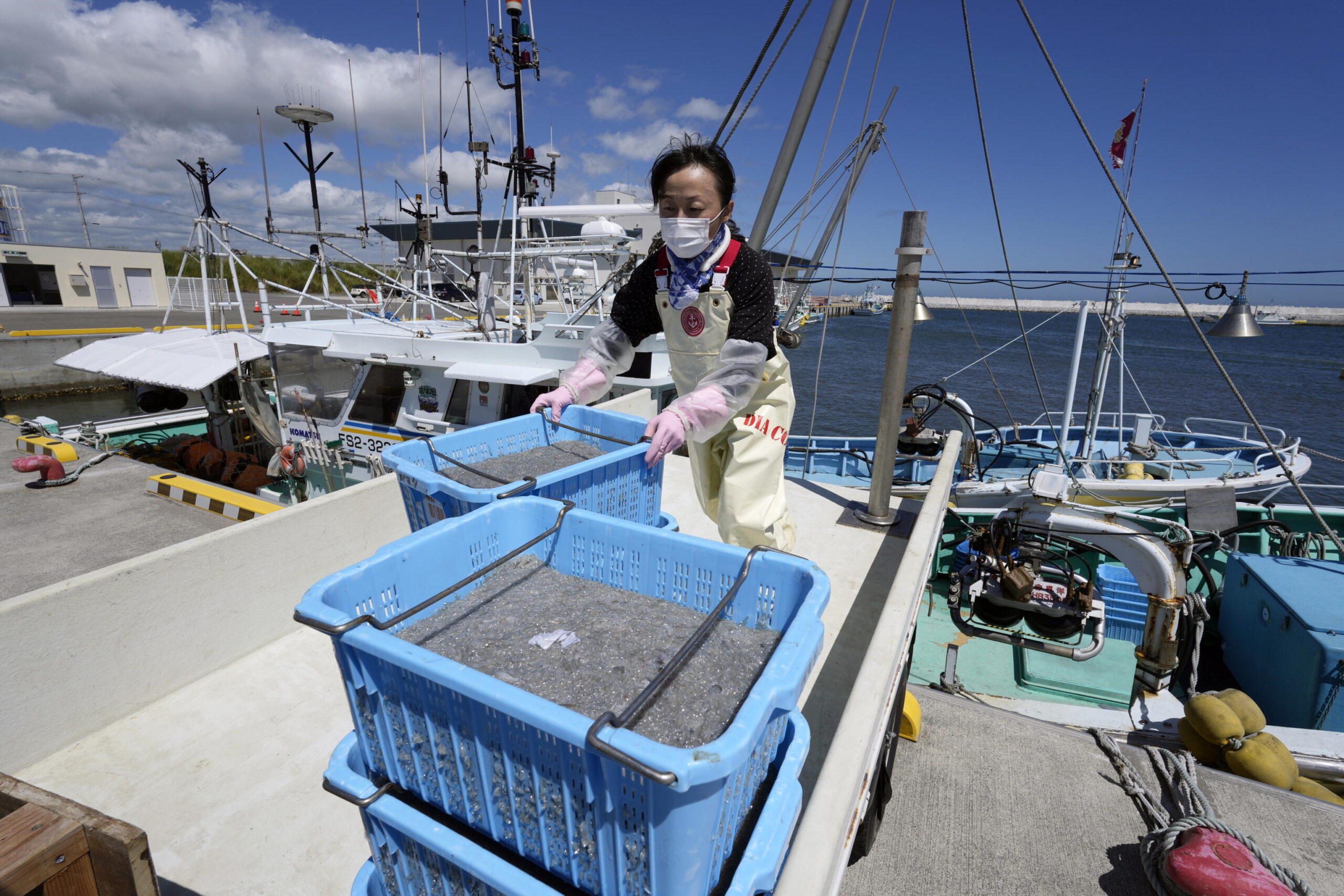 epa10816931 A woman loads a truck with cases of whitebait caught in the morning, at the Ukedo fishing port, near the Fukushima Daiichi nuclear power plant, in Namie, Fukushima Prefecture, Japan, 24 August 2023, a few hours before the release of treated radioactive water into the sea. On 24 August in the early afternoon, plant operator Tokyo Electric Power Company Holdings Inc. (TEPCO) started the discharge of treated radioactive water from the Fukushima nuclear power plant into the Pacific ocean despite opposition of local fishermen and some neighbouring countries. It shall take as long as 30 years to complete the release of the treated radioactive water from more than 1,000 tanks. EPA/FRANCK ROBICHON