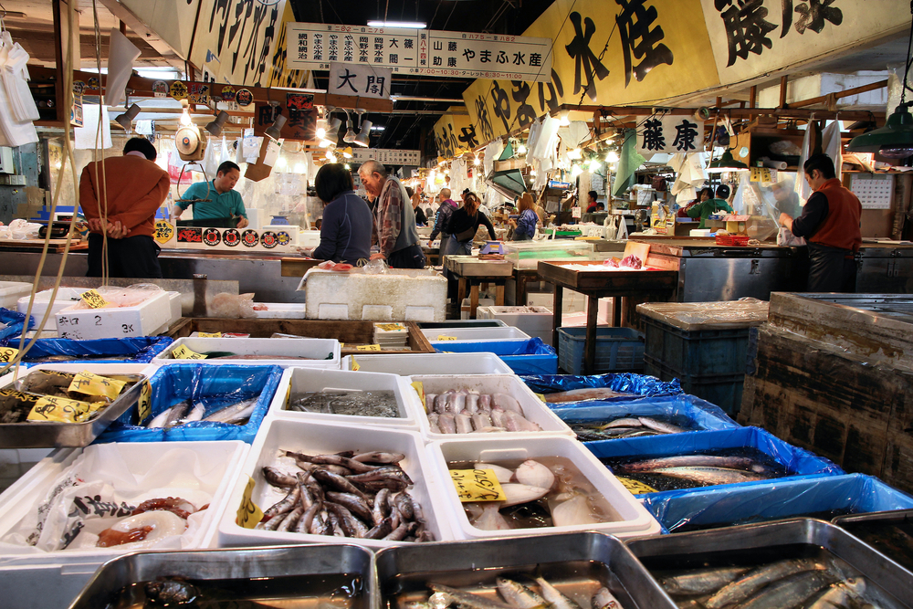 Fukushima: dimezzati i prezzi del pesce dall’Hokkaido