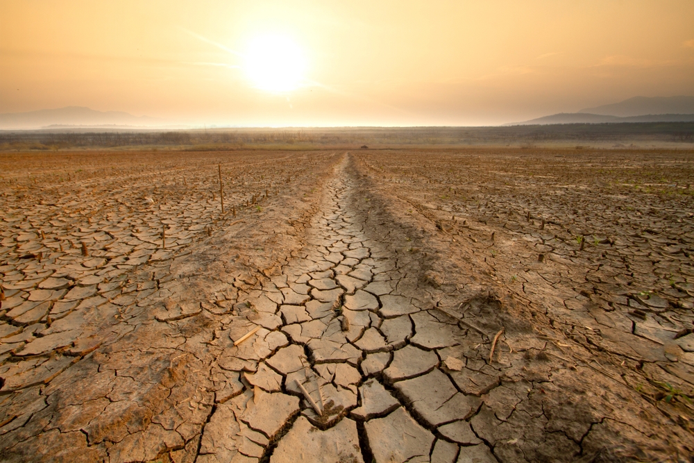 Argentina, economia ancora in calo. Crolla l’agricoltura (-14%) per la siccità