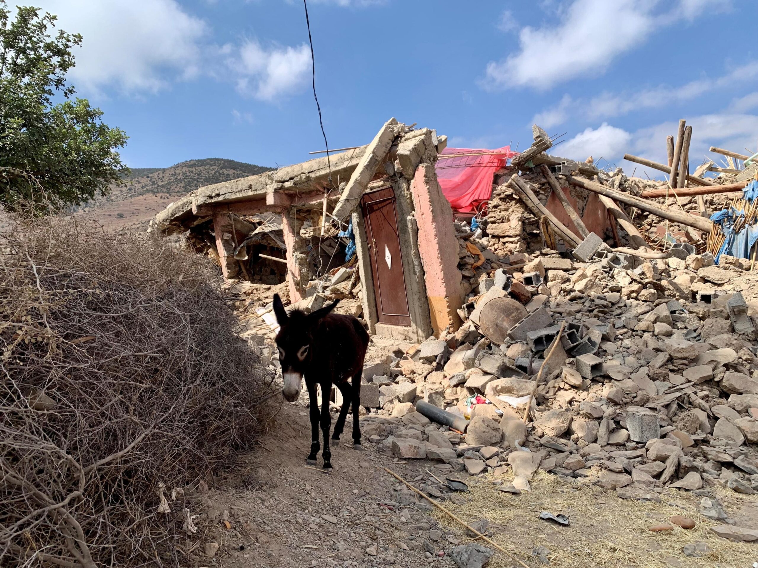 Terremoto in Marocco, raccolti 1,1 miliardi di euro