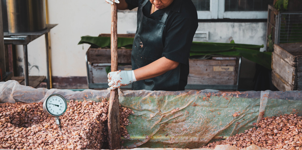 Dolcetto e scherzetto: prezzi del cacao mai così alti. Ecco perché