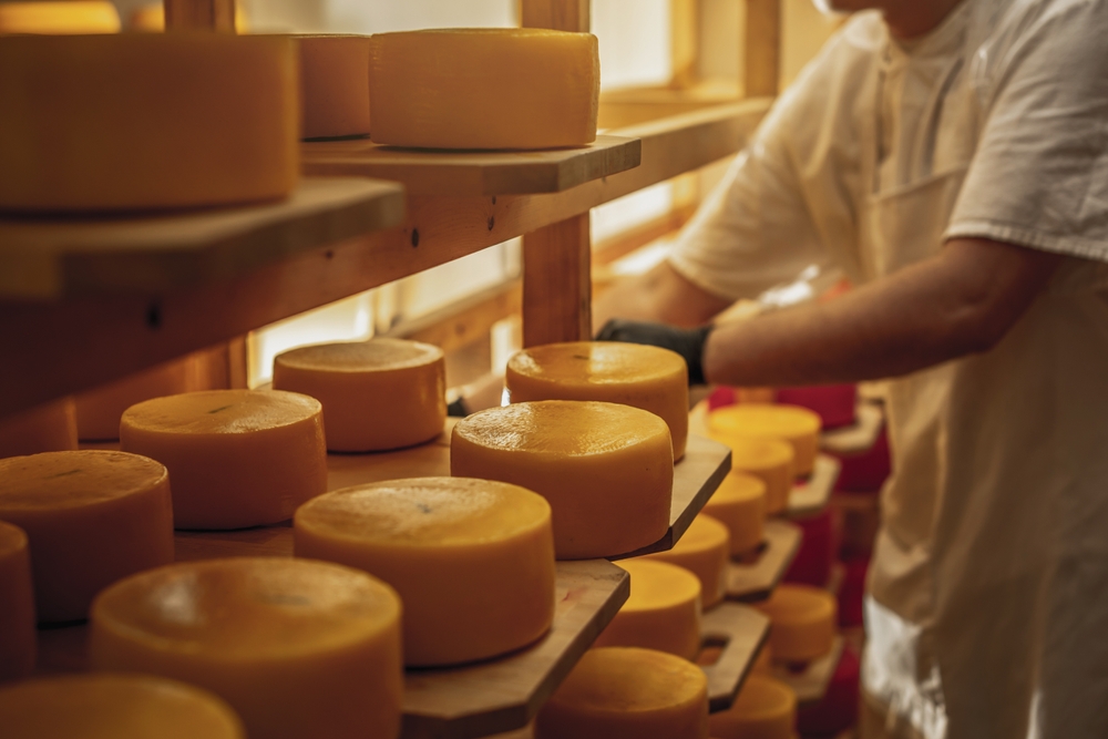 Cremona, torna il Festival dedicato ai formaggi