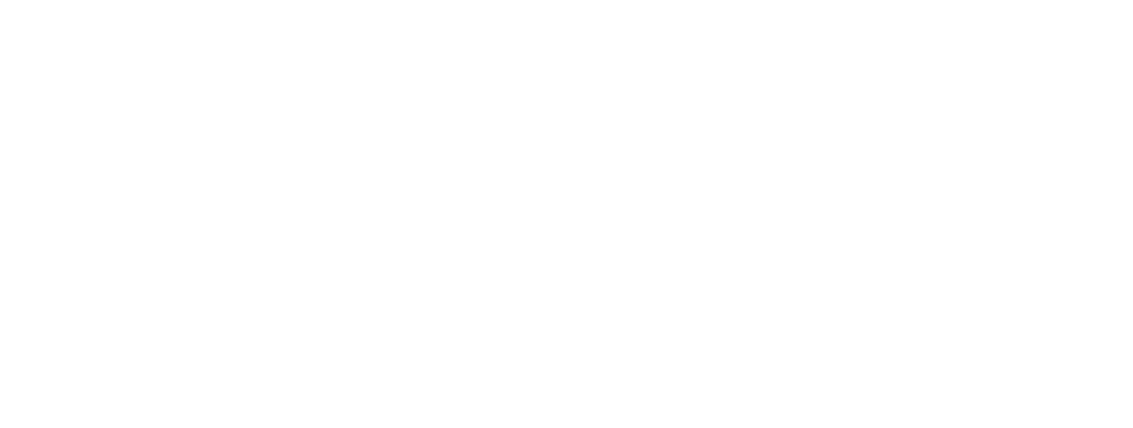 logo_business24it