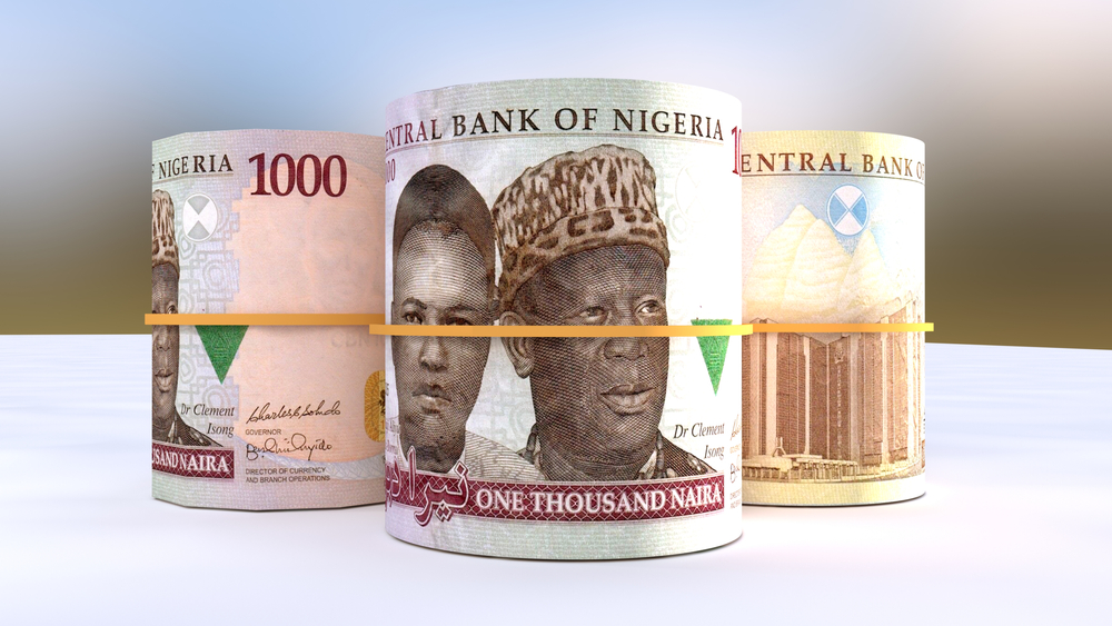Nigeria, inflazione vicina al 30%. Crolla la naira (valuta locale)