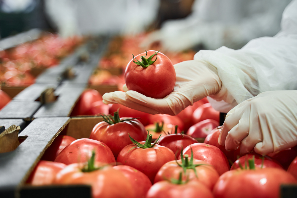 Bayer, pomodori con più vitamina D grazie all’accordo con G+FLAS