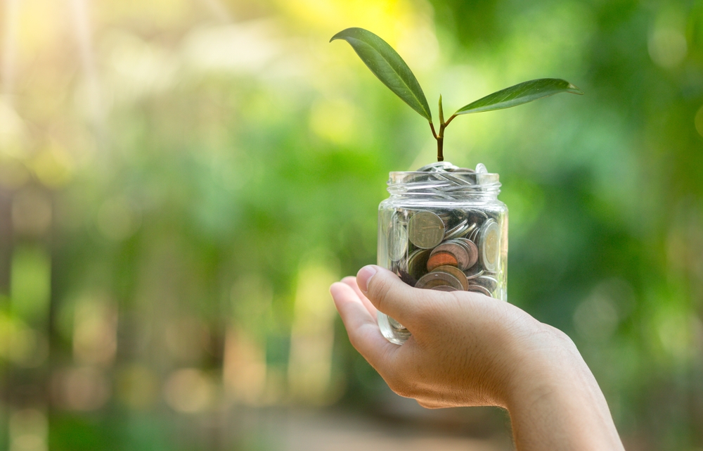Fondi d’investimento: tutto quello che c’è da sapere