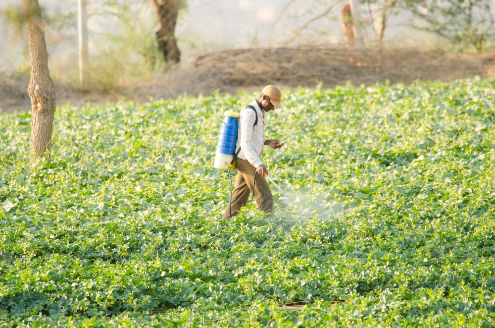 Coldiretti, nel 2024 aumentano del 30% le allerte alimentari