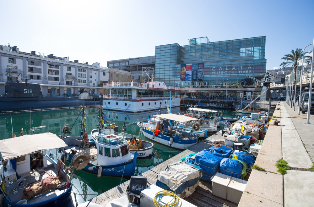 Genova, il 2024 è l’anno d’oro per l’offerta culturale. Per i musei +12%  su anno